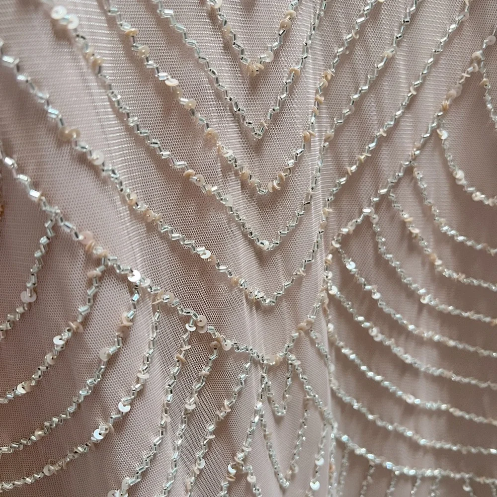 NWT Stunning Adrianna Papell Blush Beaded Dress - Picture 8 of 8